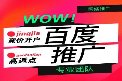 百度推广返点案例：实现广告投放效益最大化